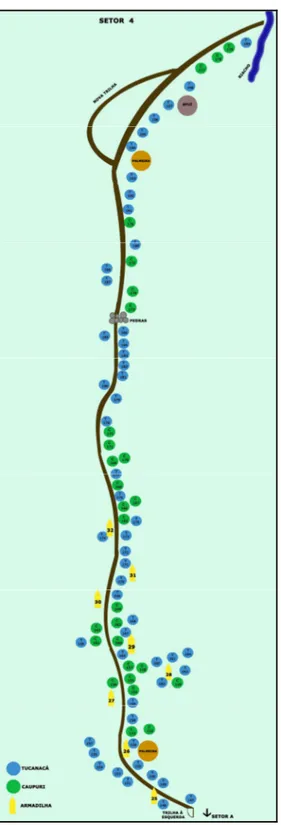 Figura 8 - Setor 4 com a localização dos pés de mariri, no Centro Espírita  Beneficente União do Vegetal em Campinas/SP, onde o verde representa os  pés de mariri da variedade caupuri e o azul representa a variedade tucunacá