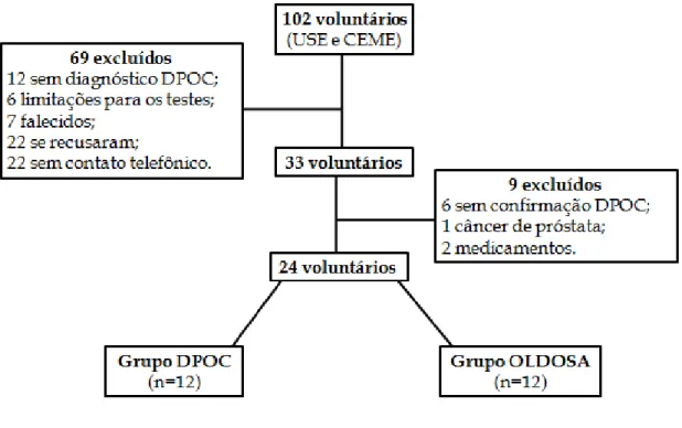 Figura 3: fluxograma de voluntários               