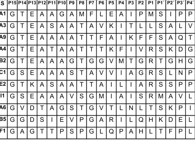 Tabela 2.1 Seqüências de aminoácidos das alças do centro de reação de  algumas serpinas