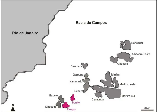 Figura 5. Principais campos petrolíferos da Bacia de Campos com destaque aos campos Bonito e Pampo  em rosa, onde se localizam os poços estudados neste trabalho