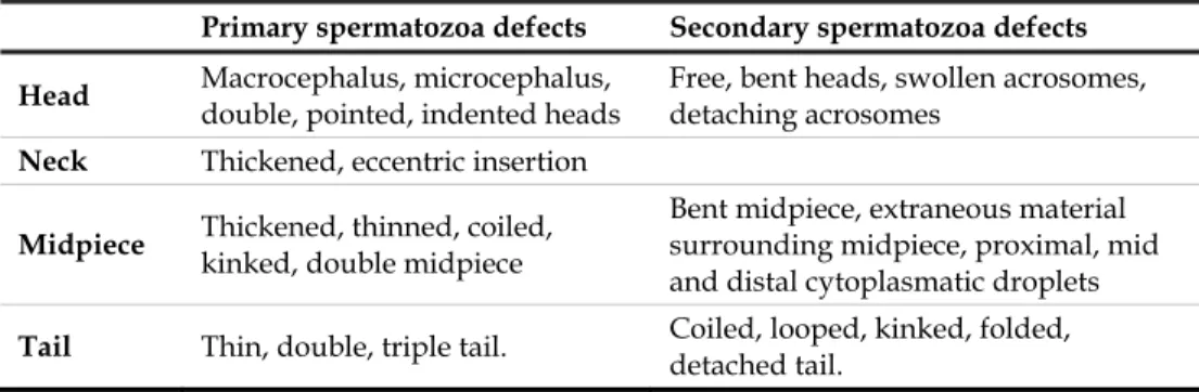 Table 6. Main defects of the dog spermatozoa 