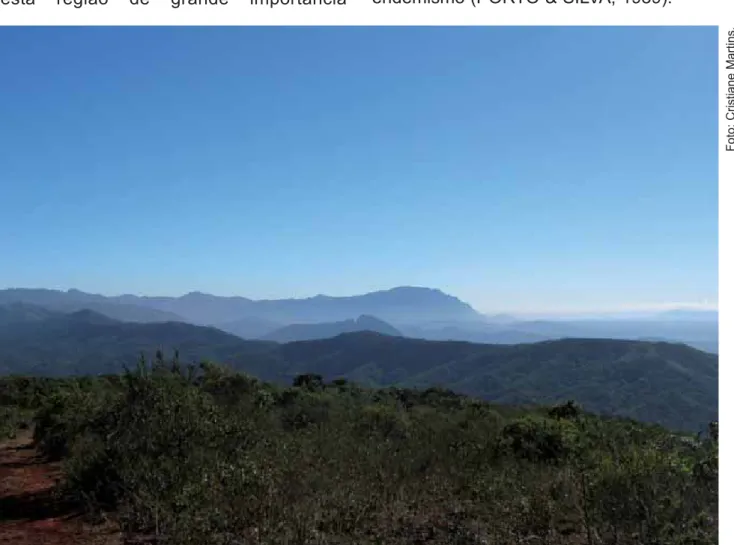 FIGURA 1 – Visão geral da área de campo rupestre ferruginoso na Serra da Brígida, Ouro Preto, MG.