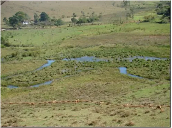 Figura 3.10 – Vista geral do ribeirão do Melo, em um trecho meandrante, com as planícies de inundação  ainda parcialmente encharcadas