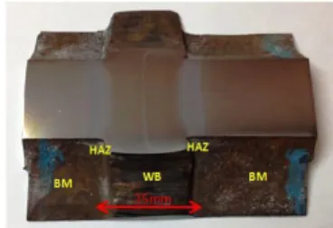 Fig. 3. Welded joint prepared for metallographic procedures. BM = Base metal; HAZ = Heat affected zone; WB = Weld bead; CL = Central  Line
