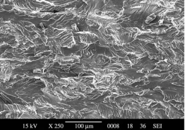 Figure 9. SEM fractography of Al 2024 alloy of a) low  ∆K region; and b) high 