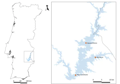 Figura 1: Localização do reservatório de Alqueva em Portugal Continental e indicação das três plataformas  de amostragem no reservatório