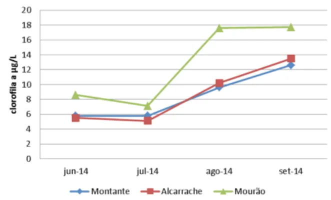 Gráfico 3: Concentração de clorofila adeterminada ao longo do Verão de 2014 nas três plataformas
