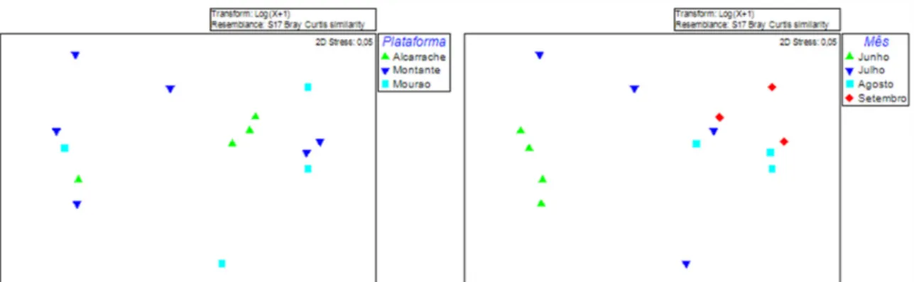 Gráfico 5: Ordenação nMDS para as espécies de fitoplanctónicas. Gráfico 5a – diferenciam-se por cores os locais amostrados  (plataformas); Gráfico 5b – para a mesma ordenação diferenciam-se por cores os meses de amostragem