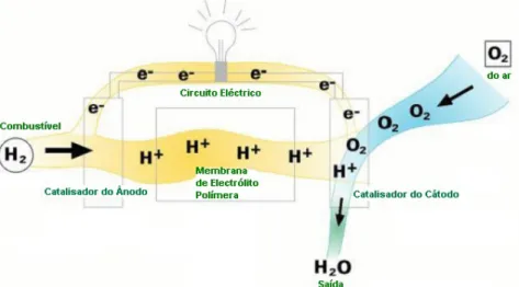 Figura 3.2 – Esquema de uma célula de combustível   FONTE: http://www.fuelcells.org/whatis.htm 