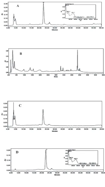 Figure 1 - HPLC chromatograms of ethanolic extract (A), A  fraction (B), M fraction (C) and myricitrin (D) obtained by  HPLC-UV-DAD at 254 nm.