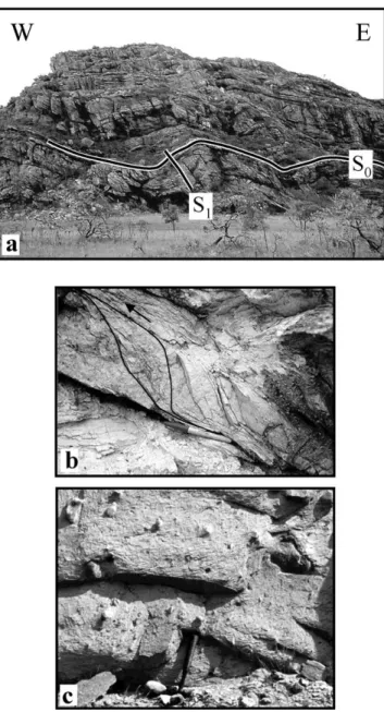 Fig. 6. (a) Photo of west-verging folds in the Serra do Espinhac¸o fold-thrust belt. This structure involves quartzite containing spaced cleavage