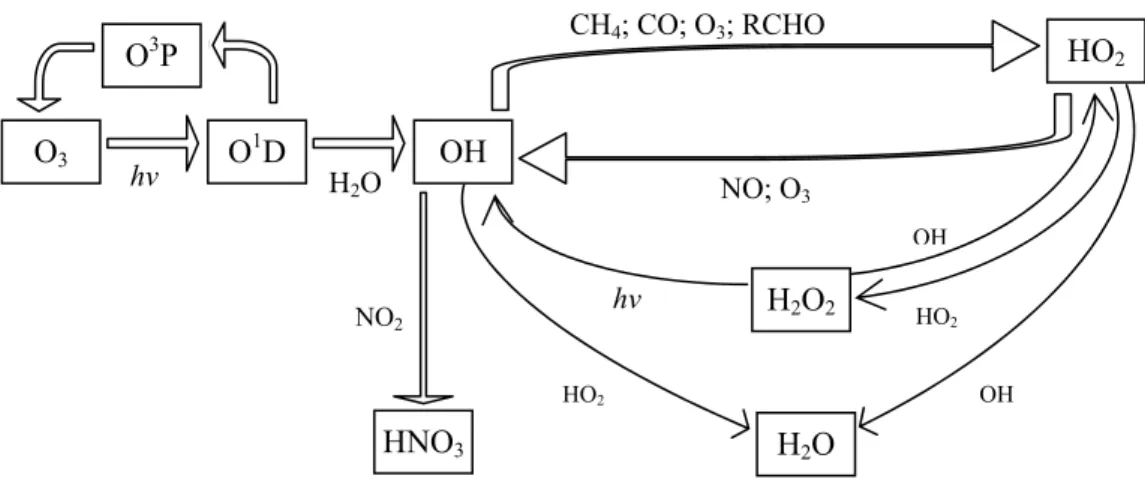 Figure 1: Schematic representation of major tropospheric inter-conversions between OH and HO 2  radicals