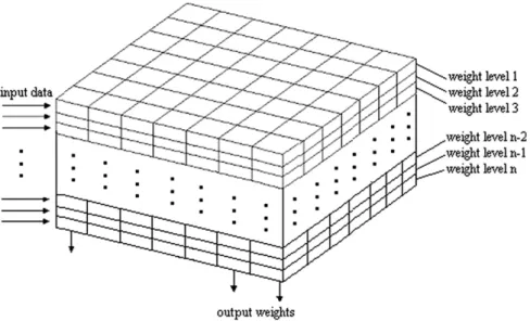 Fig. 1. Typical Kohonen network architecture. The neurons are represented as columns packed in a box