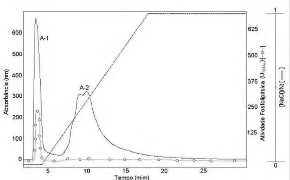 FIGURA  5:  Perfil  cromatográfico  por  troca  aniônica  da  fração  A.  O  fracionamento  foi  realizado  em  coluna  semi-preparativa  Hitrap  Q  (16  mm  x  25  mm,  1mL  -  Amersham  Biosciences - GE), pré-equilibrada com tampão Tris-HCl 20 mM, pH 8 a