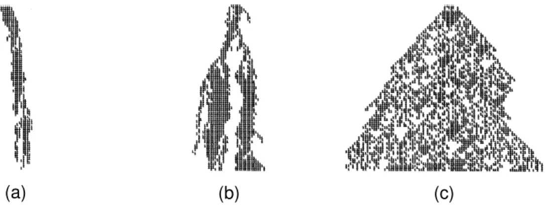 Fig.  2.  2:  Representação  da  evolução  temporal  descrita  acima  para  a  percolação  direcionada