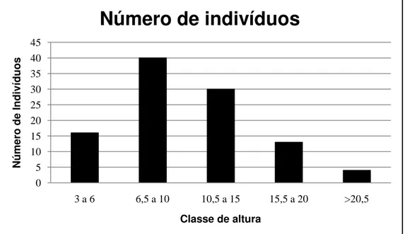 Figura 3.  Número  de  indivíduos,  em  diferentes  classes  de  altura  presentes  na  arborização da praça Rui Barbosa, São José do Rio Preto, SP