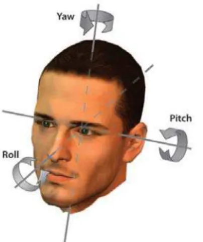 Figura 2.4: Possíveis ângulos de rotação da Face - Murphy-Chutorian &amp; Trivedi [2009].