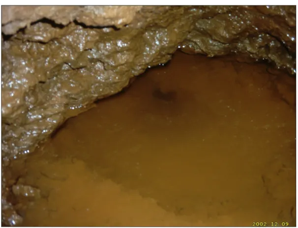 Figura 3.4: Captação de água  localizada no interior de mina abondonada na Rua Santa Rita 
