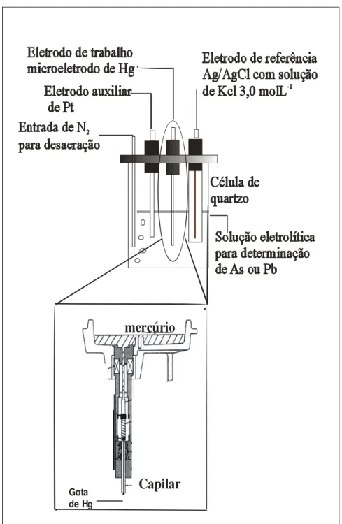 Figura 4.2: Esquema da célula eletroquímica e do micro-eletrodo de mercúrio utilizados para as medidas
