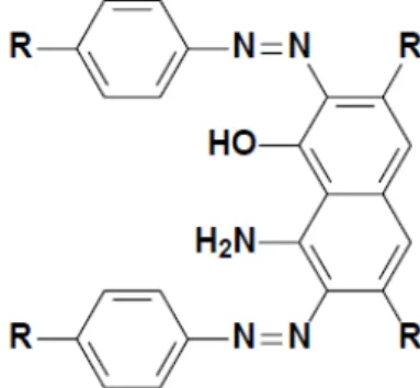Figura 2.1: Estrutura química característica de um azo corante. 