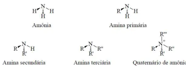 Figura 2.12: Estrutura geral de uma eterdiamina e uma eteramina [R-O-(CH2)3-NH-(CH2)3-NH4]+ CH3COO- 