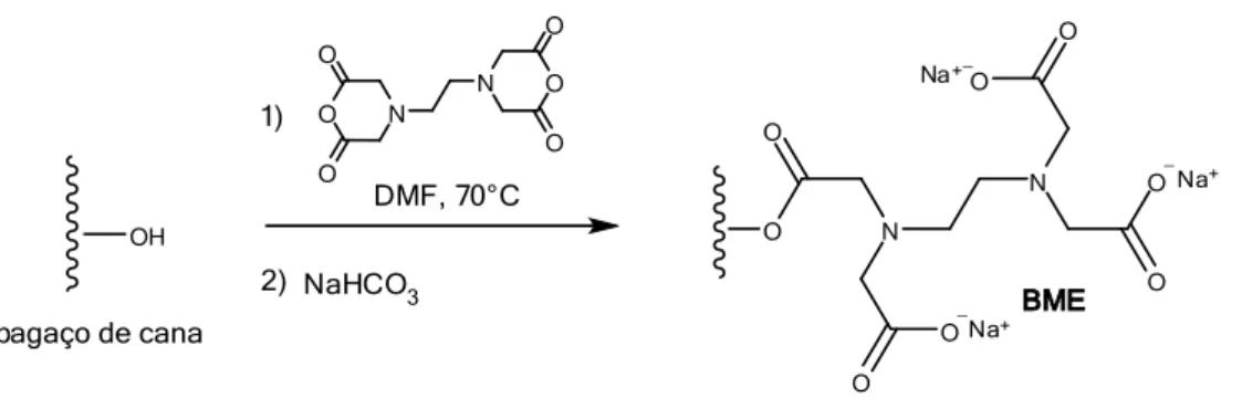 Figura 2.18: Rota de síntese do material adsorvente BME. 