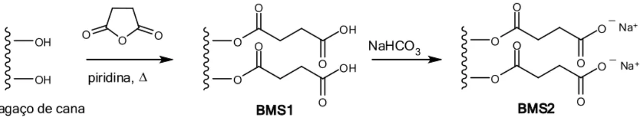 Figura 3.1: Rota sintética da modificação química do bagaço de cana com anidrido  succínico