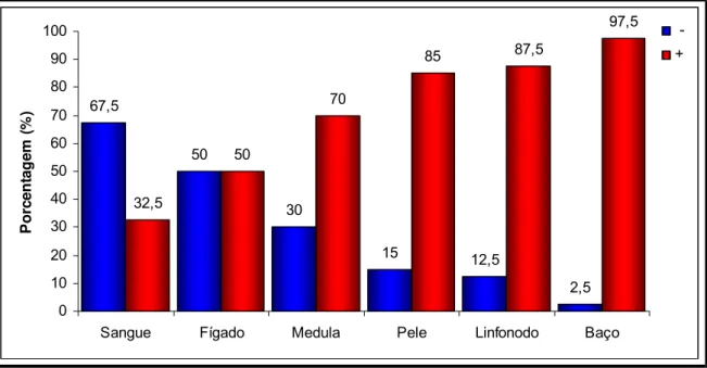 Figura 5 : Porcentagem de cães positivos na PCR para o gênero Leishm ania de acordo  com os diversos tecidos avaliados