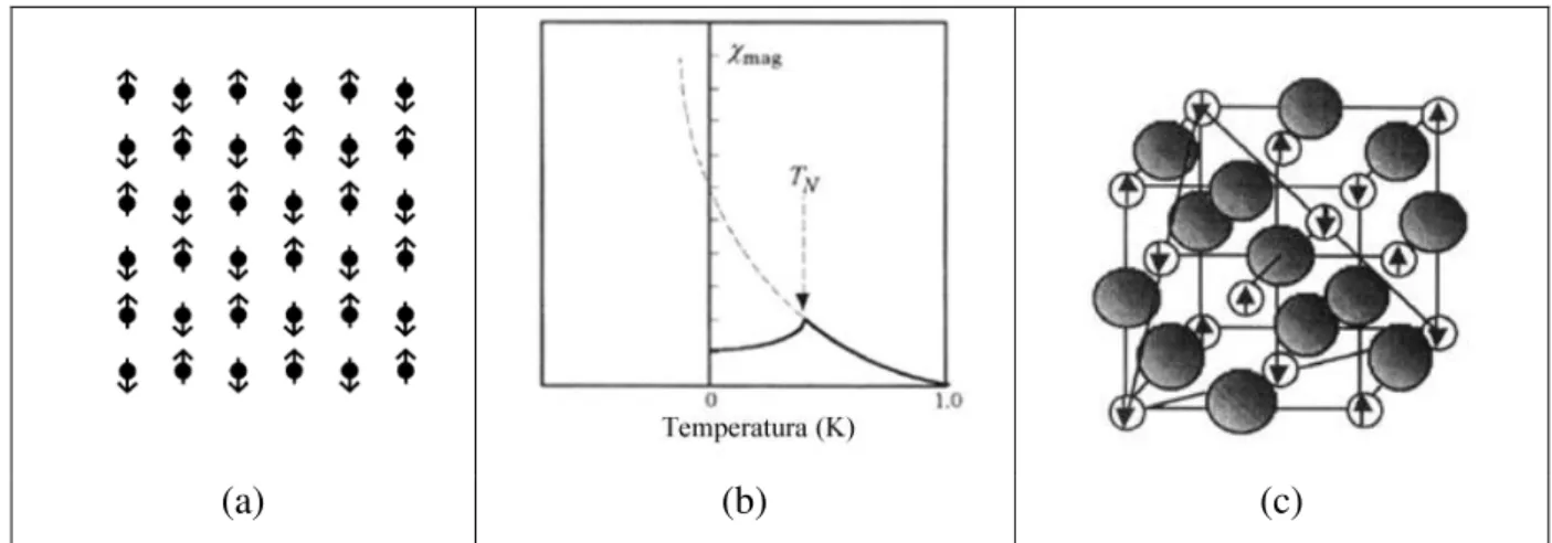 Figura 3.15  –  (a) em materiais antiferromagnéticos os momentos possuem alinhamento antiparalelo  resultando em um momento magnético total igual a zero