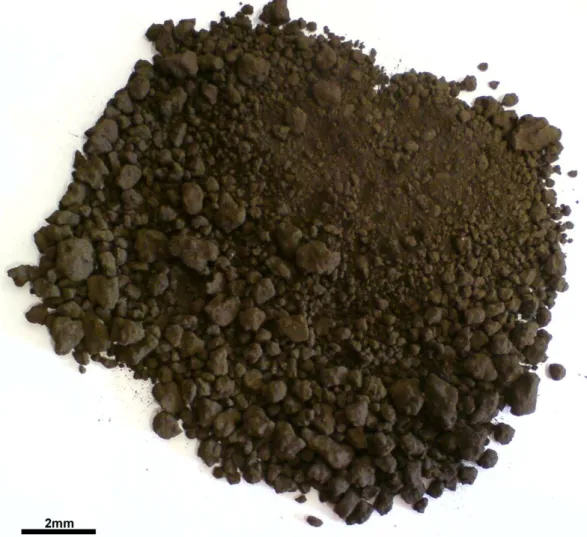 Figura 5.1 - Amostra de lama fina de aciaria tal como recebida da Fundação Gorceix. 