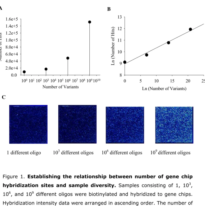 Figure 1. Establishing the relationship between number of gene chip  hybridization sites and sample diversity