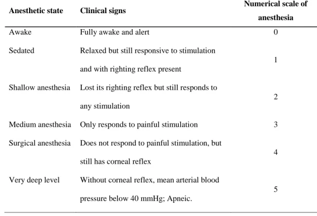 Table 2 - Definition of anesthetic states based on clinical signs and the respective attributed numerical scale