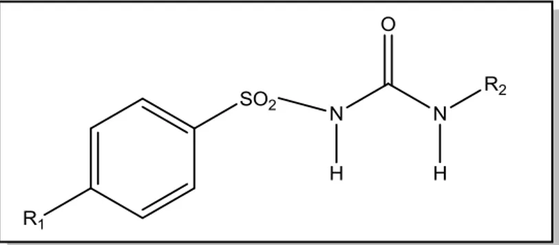 Figura 1  – Estrutura química das sulfonilureias. 