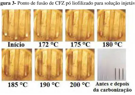 Figura 3- Ponto de fusão de CFZ pó liofilizado para solução injetável 