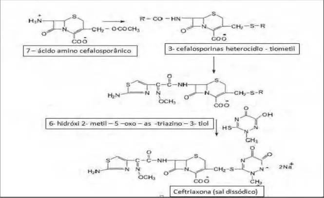 Figura 2. Estrutura química da ceftriaxona sódica (CAS 104376-79-6). 