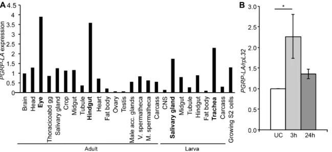 Figure 3. PGRP-LA D over-expression leads to induction of the Imd pathway. A. Measurement of Diptericin (Dpt) by RT-qPCR in whole males over-expressing each isoform of PGRP-LA under the control of the ubiquitous da-Gal4 driver, using UAS-PGRP-LA C (LA C ),