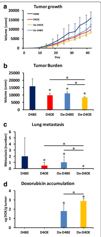 Fig. 6 Endothelial Dll4 over expression improves tumor drug delivery and reduces metastasis formation