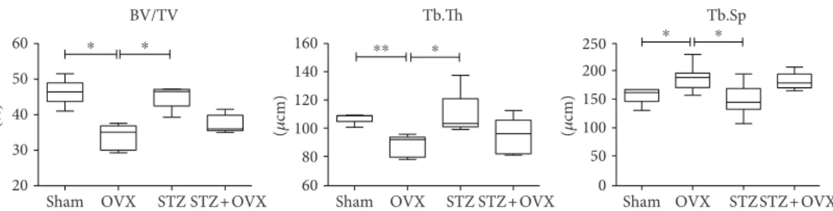 Figure 2: Bone histomorphometry measurements of the fourth lumbar vertebrae (L4) obtained from healthy control (sham), ovariectomized (OVX), hyperglycemic (STZ), and hyperglycemic-ovariectomized (STZ + OVX)