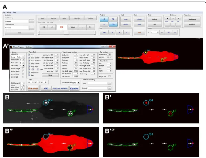 Fig. 2 MouseWalker software interface. a Program layout. Videos are loaded, automatically tracked, and edited in a single window