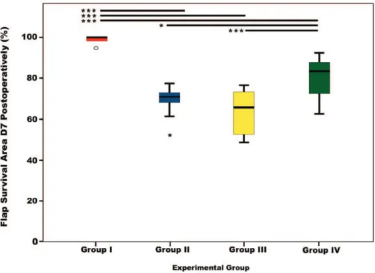 Table 1.   Comparison of the Different Vascular Constructs for Producing Arterialized Venous Fasciocutaneous Epigastric  Flaps in the Rat