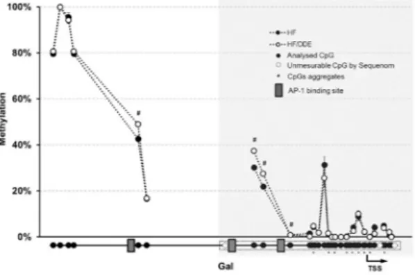 Figure 8.  Schematic representation of the effects observed with the different treatments, whereby p,p’-DDE  exposure appears to have an effect in metabolic syndrome evolution and dysmetabolic obesity, namely by  exacerbating the effects of HF, in which th