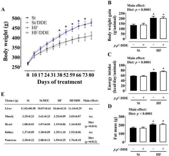 Figure 1.  Weight measurements and body composition: (A) body weight evolution throughout the 12 weeks  of treatment; (B) body weight gain per animal; (C) energy intake (kcal) per day/animal calculated trough food  intake assessment; (D) fat mass evaluated