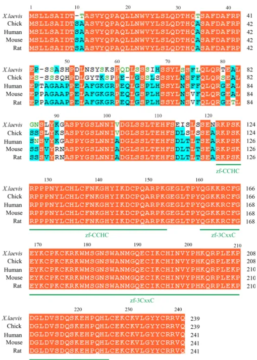 Fig. 1. Sequence alignment of Zcchc24 family  members.  Comparison of the predicted amino  acid sequence of X