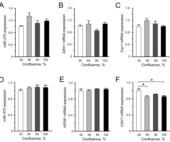 Figure 2 Expression of miR-375 and its targets in INS-1 832/13 cells (A–C) or in EndoC-βH1 cells (D–