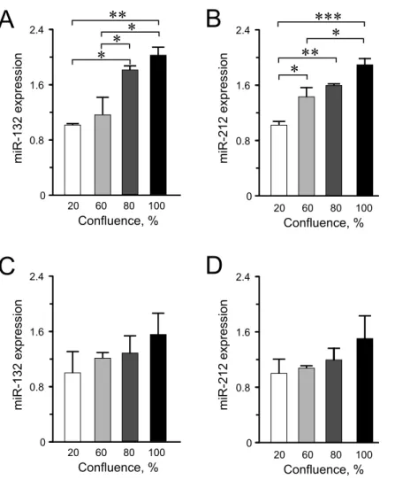Figure 3 miR-132 and miR-212 expression in INS-1 832/13 cells (A–B) or in EndoC-βH1 cells (C–D) at different confluences