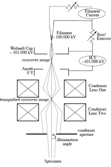 Figura 2.1 – Esquema do sistema de iluminação do microscópio eletrônico de  transmissão [2]