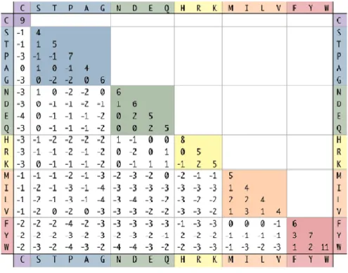 Figura 7 - Matriz BLOSSUM62. [14] 