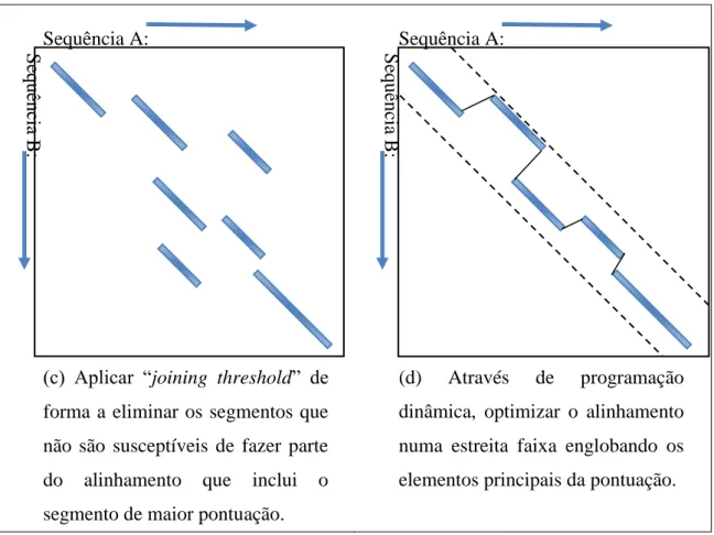 Figura 16 - Representação esquemática do algoritmo Fasta. [20] 