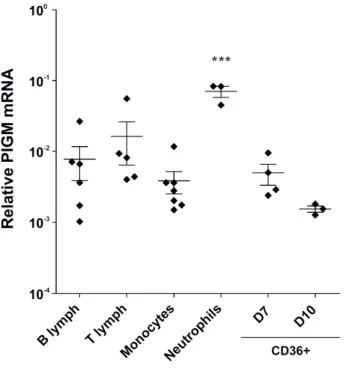 Fig.  15  -  PIGM  mRNA  expression  in  haematopoietic  primary  cells  derived  from  normal  donors