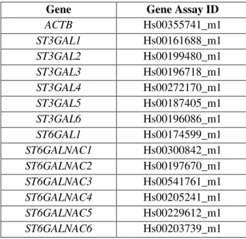 Table 2.1. Set of housekeeping gene and sialyltransferases gene assays ID from Applied Biosystems